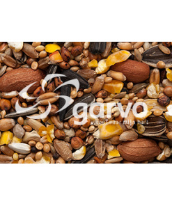 Alternative view of Wild Bird Mixture 5346