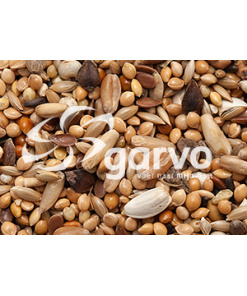 Alternative view of Lovebird Seed 9111