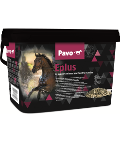 Pavo Eplus
