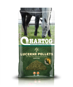 Hartog Lucerne Pellet