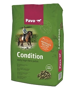 Pavo Condition