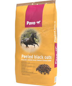 Pavo Black Oats