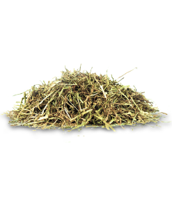 Alternative view of Hartog Lucerne Mix