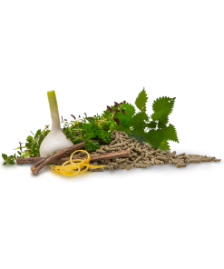 Alternative view of Hartog Condition - Herbal Sports Pellet