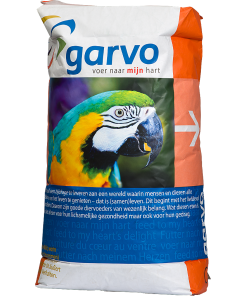 Parrot Macaw 5388