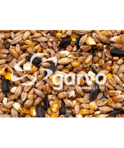 Alternative view of Mixed corn with seashells 4140