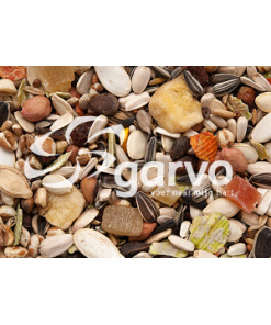 Alternative view of Parrot fruit & nuts 5318