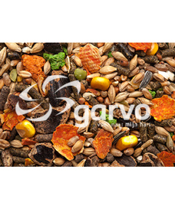 Alternative view of Rodent Mix 5540