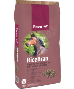 Rice Bran
